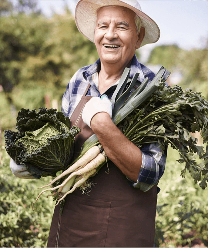 Agriculture Image