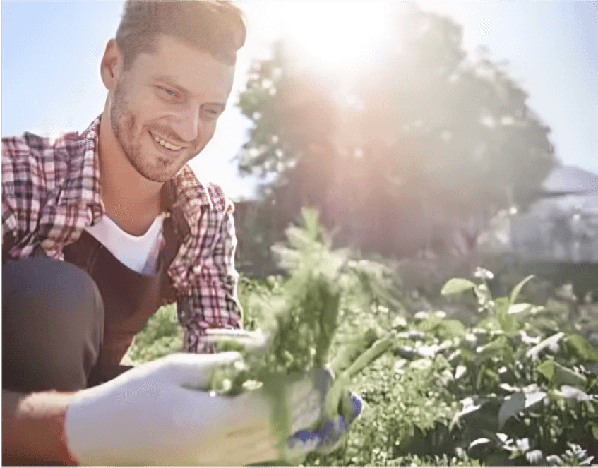 Organic Farming
