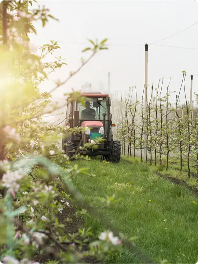 Agriculture