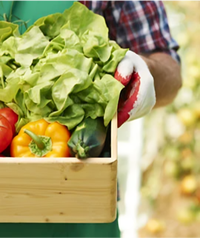 Fresh Vegetables