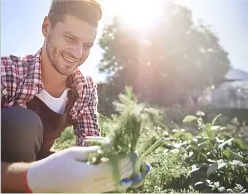 Organic Farming